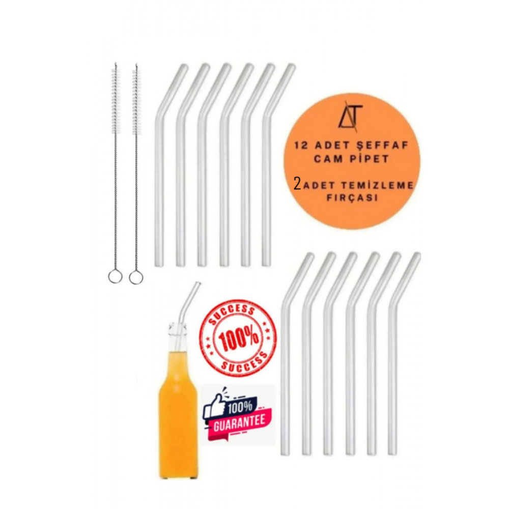 12'li Cam Pipet Ve 2 Adet Temizleme Fırçası Seti 1. Kalite / 9 Mm