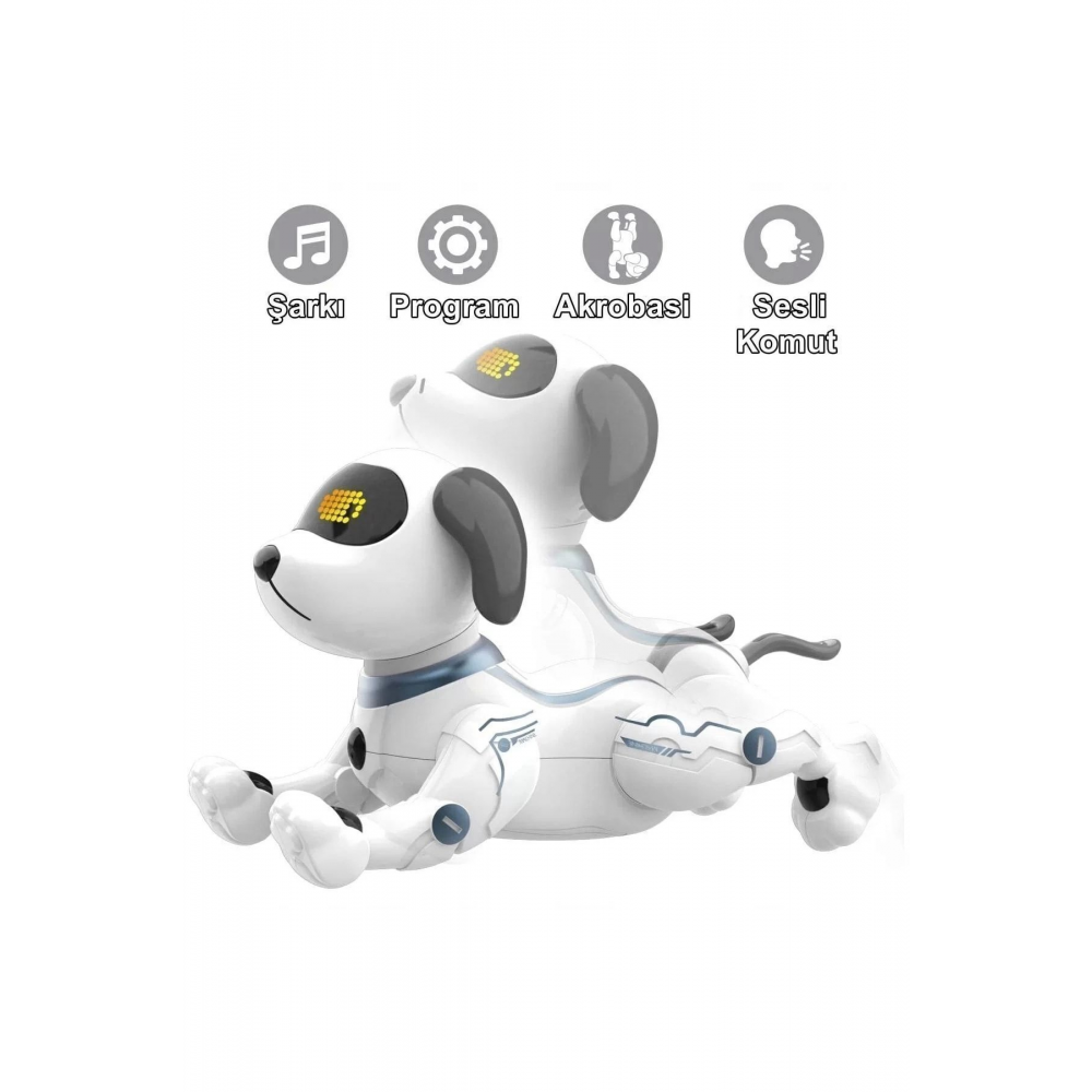 K16 Akıllı Uzaktan Kumandalı Robot Köpek 5 Litre Kız Erkek Çocuk Oyuncakları Eğitici Oyuncaklar
