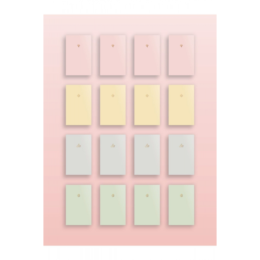 Notebook 16'lı Defter Seti Pastel Defter Seti