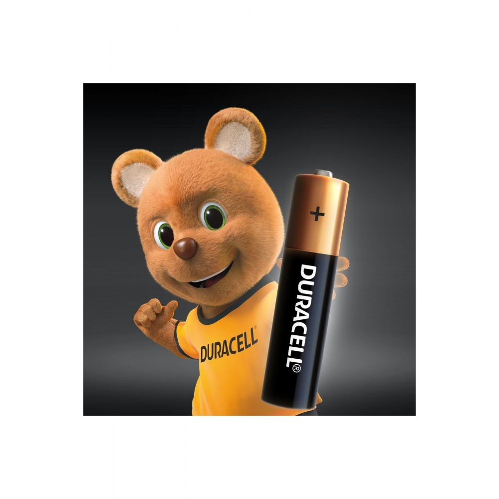 Basic Aaa Alkalin Ince Kalem Piller, 1,5 V Lr03/mn2400 10’lu