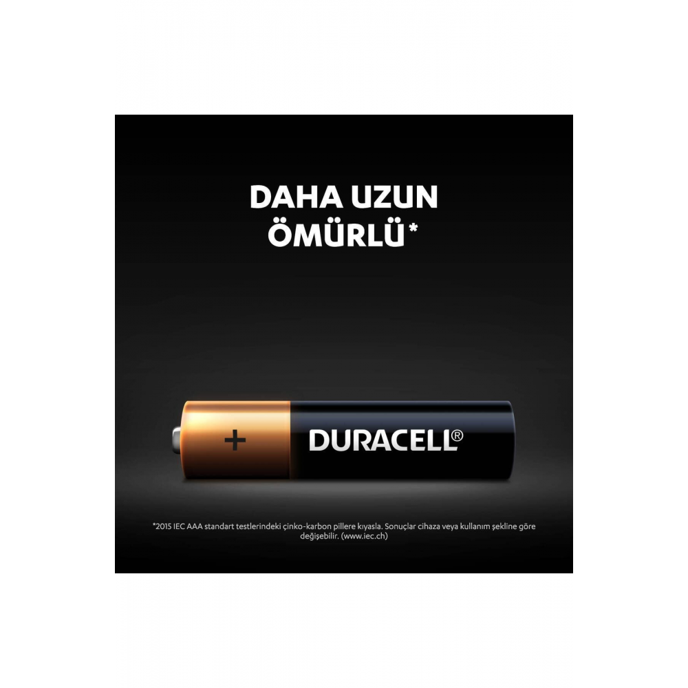 Basic Aaa Alkalin Ince Kalem Piller, 1,5 V Lr03/mn2400 10’lu