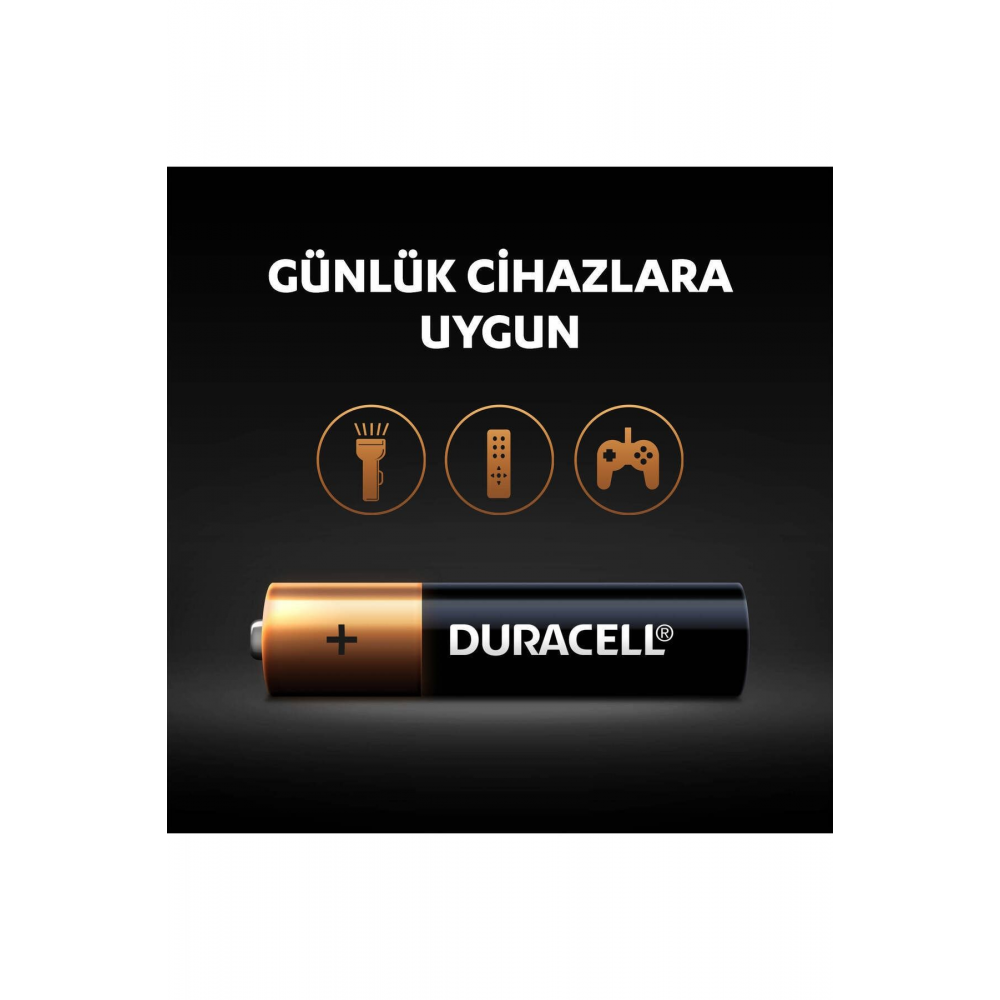 Basic Aaa Alkalin Ince Kalem Piller, 1,5 V Lr03/mn2400 10’lu