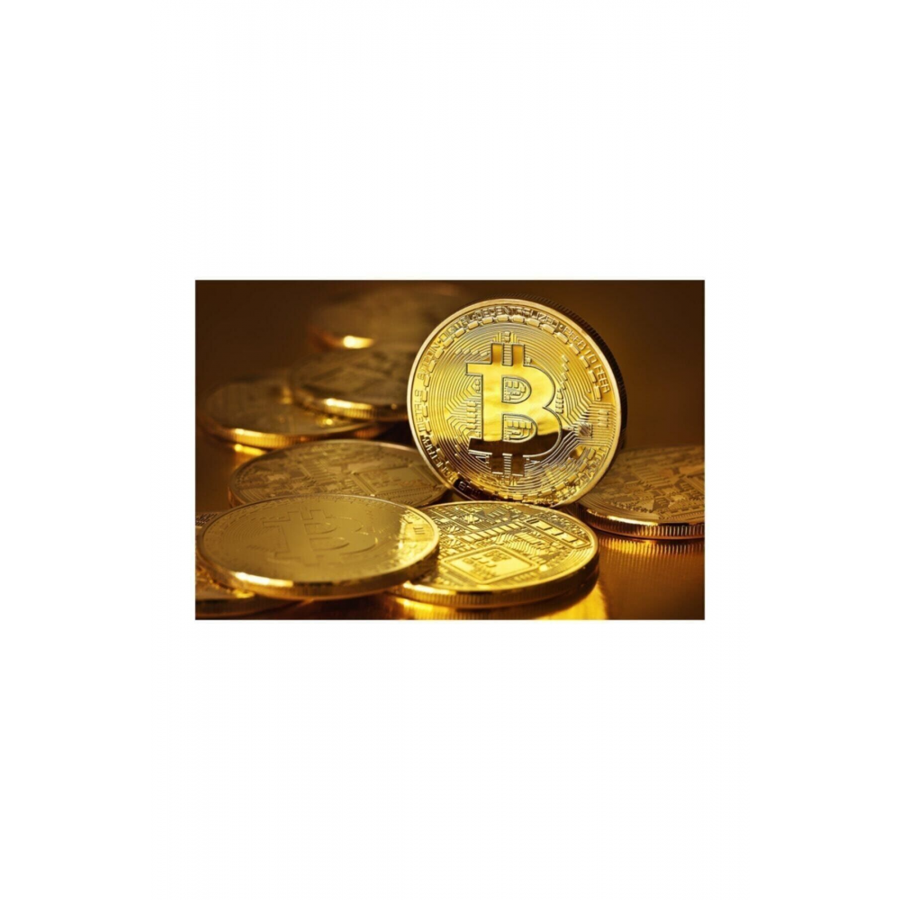 Madeni Bitcoin Hatıra Para