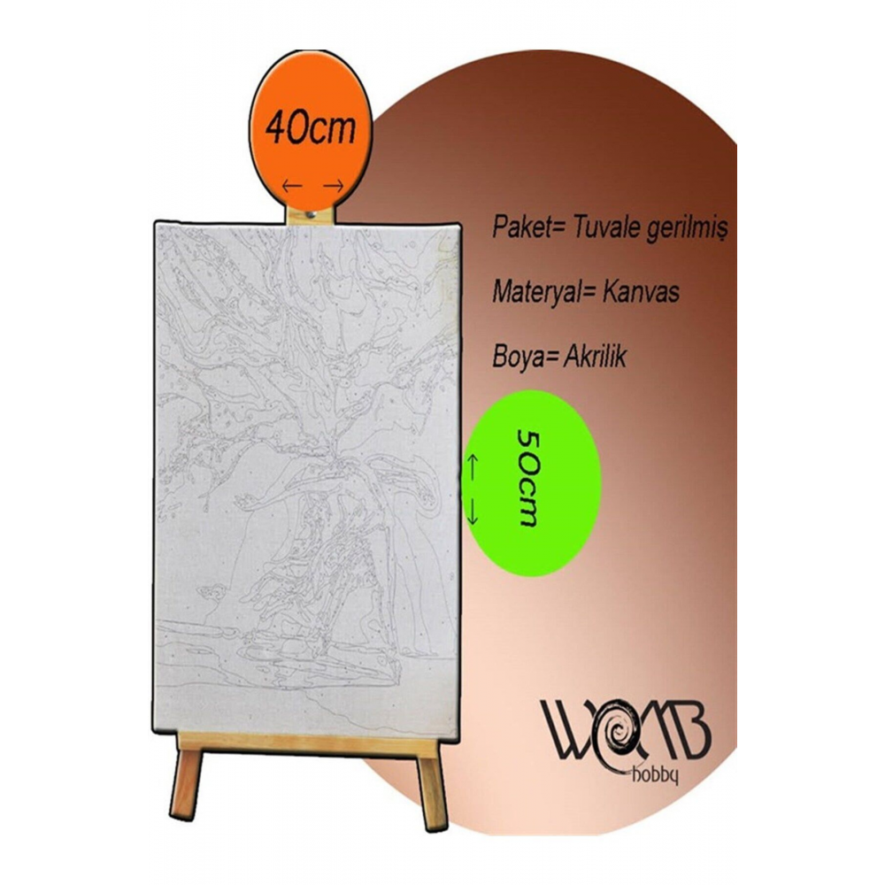 Düşen Melekler Sayılarla Boyama Seti 40x 50 Cm (TUVALE GERİLİ)