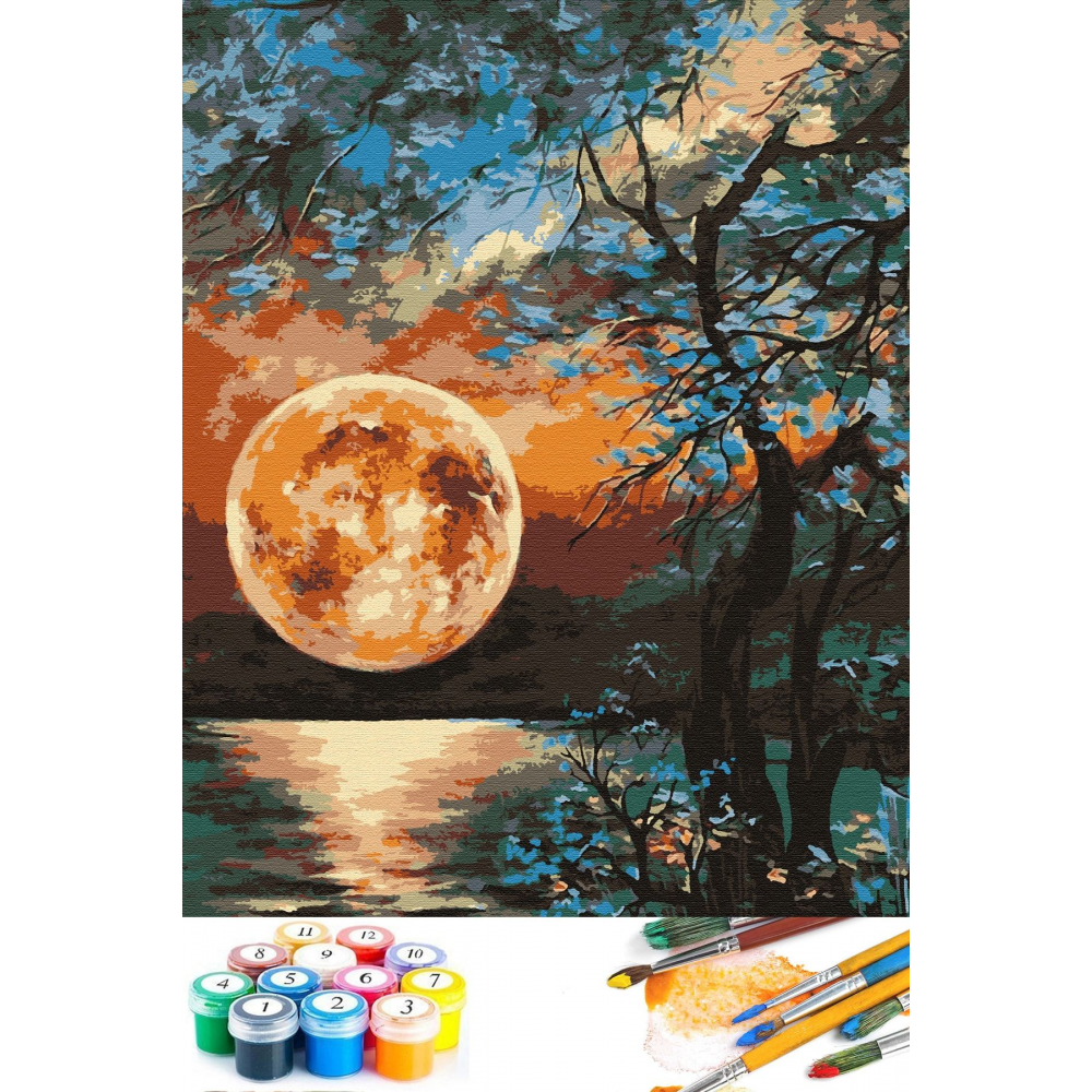 Sayılarla Boyama Hobi Seti Çerçeveli Numaralı Tuval Fırça Boya Dahil Kasnaklı 40x50 Cm