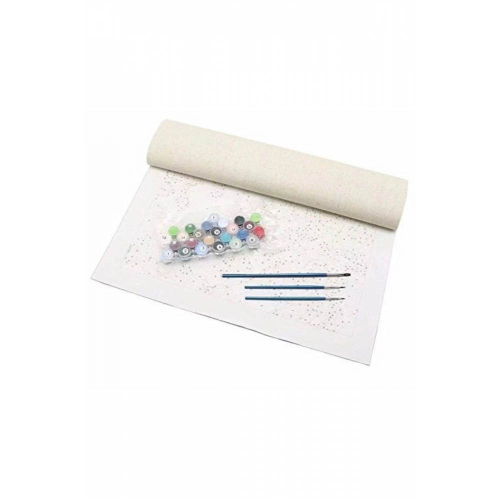Sayılarla Boyama Seti Rulo Çerçevesiz Melekler 50x65 Cm