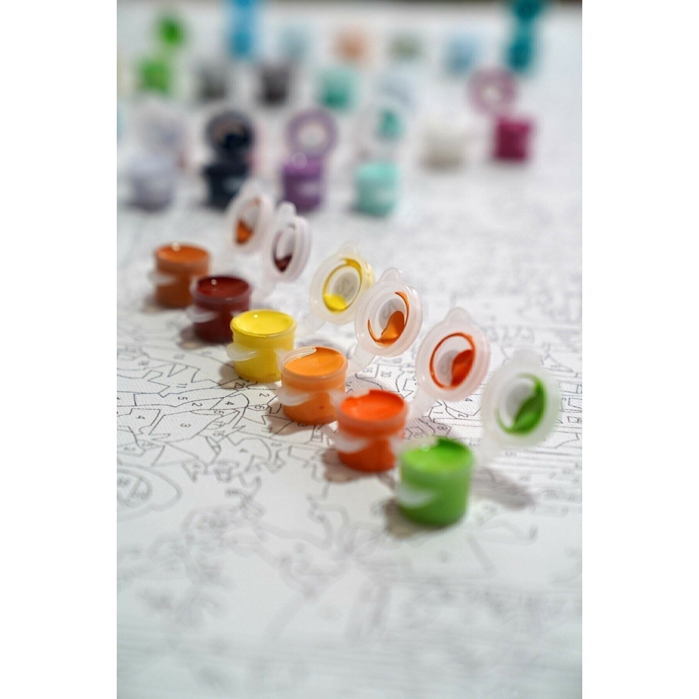 Sayılarla Boyama Tuval Seti Fırça Boya Dahil (çıtalı) 40x50 Cm - Deniz Evler