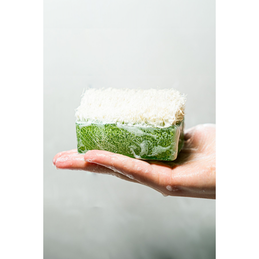 Doğal Kabak Lifli El Yapımı 2'li Eşek Sütü Ballı Aloe Vera Sabunu Premium Set