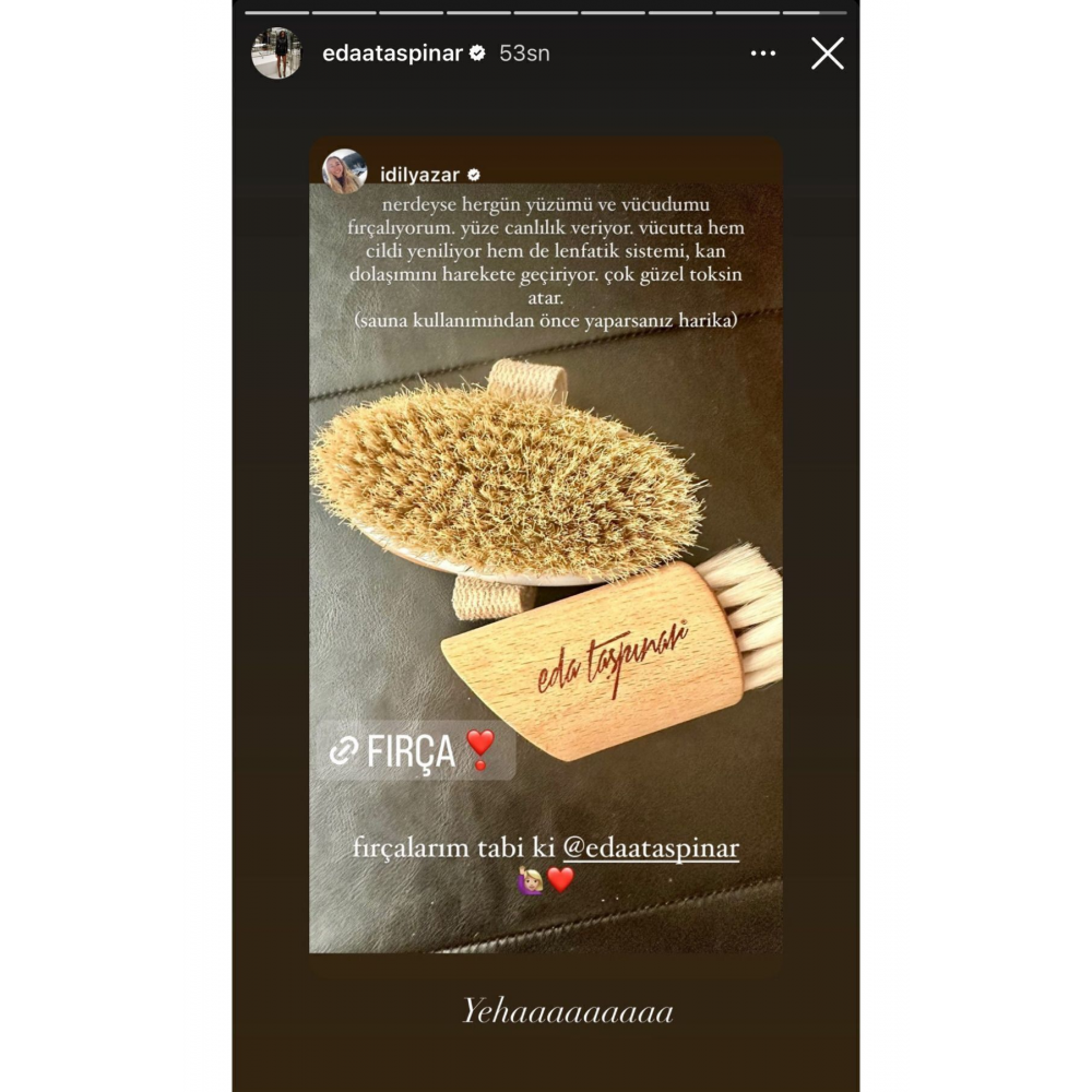 Doğal At Kılı Fırçası