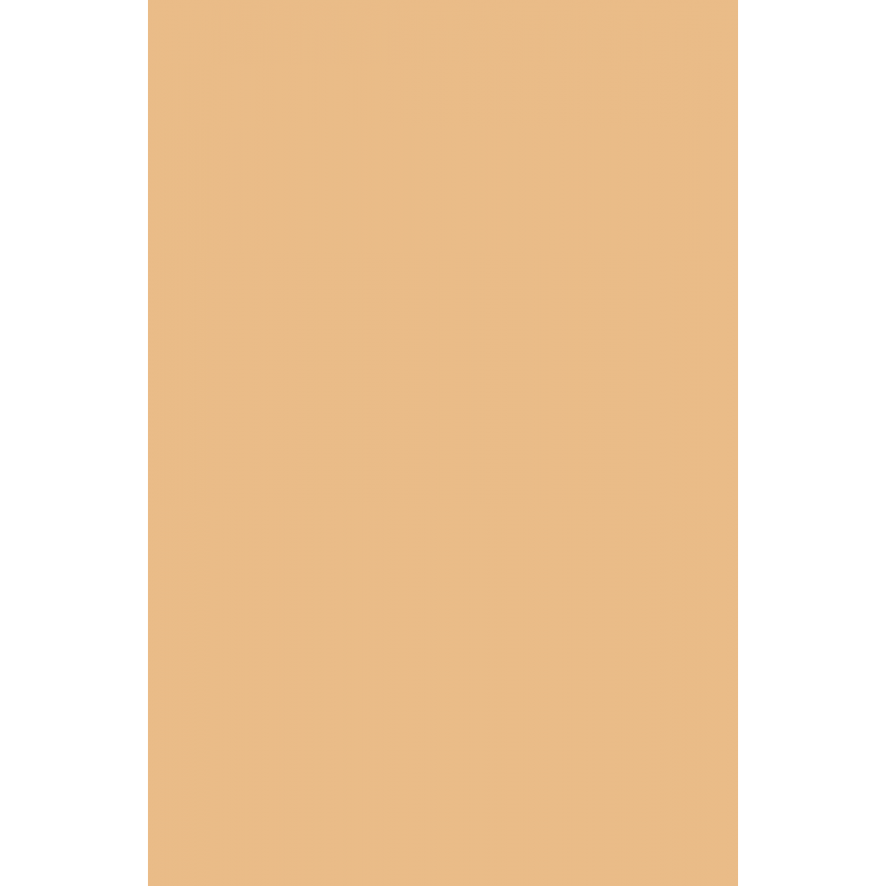 Yarı Mat Bitişli Su Bazlı Vegan Fondöten - Green Up Foundation - 002 LIGHT BEIGE - 4251903322218