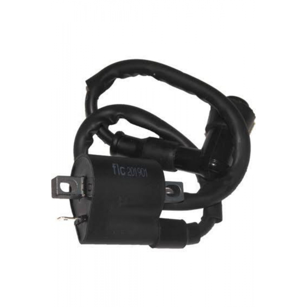 Cg Motorsiklet Bobin