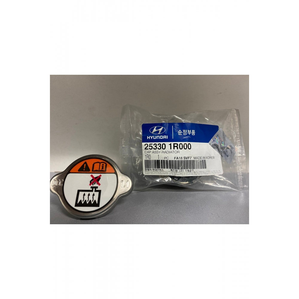 Accent Blue Radyatör Kapak