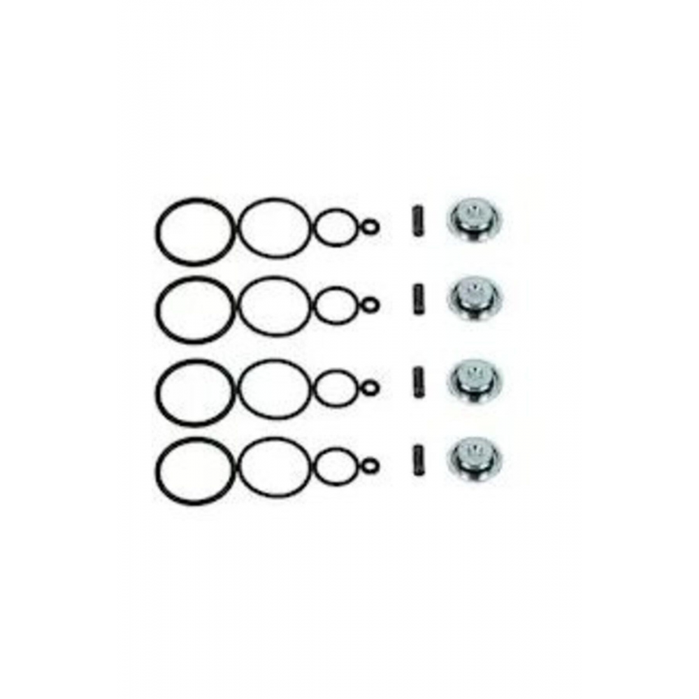 Landirenzo Aeb Evo Enjektör Tamir Takımı