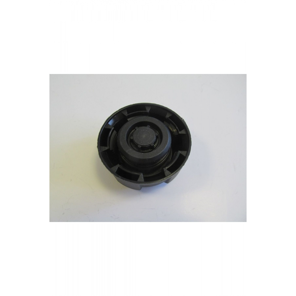 C5- 08/15; RADYATÖR YEDEK SU DEPO KAPAĞI Uyumlu