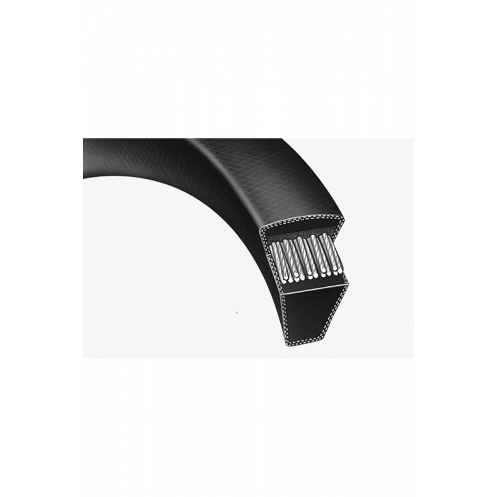 BELTPLUS 17X2500 V Kayışı