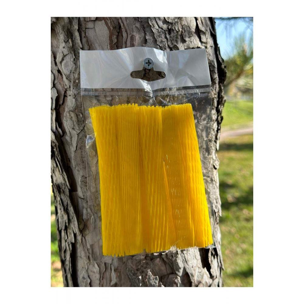 File Seti 10 Lu Sarı Sar1, One Size