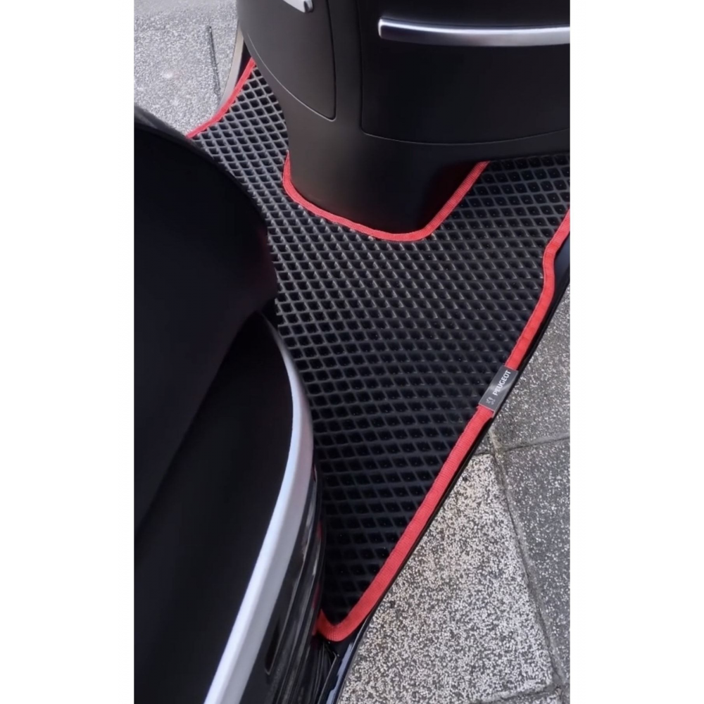 MONDIAL TOURISMO 50 UYUMLU MOTO PASPAS MOTORA ÖZEL MOTOR PASPAS MOTOMAT