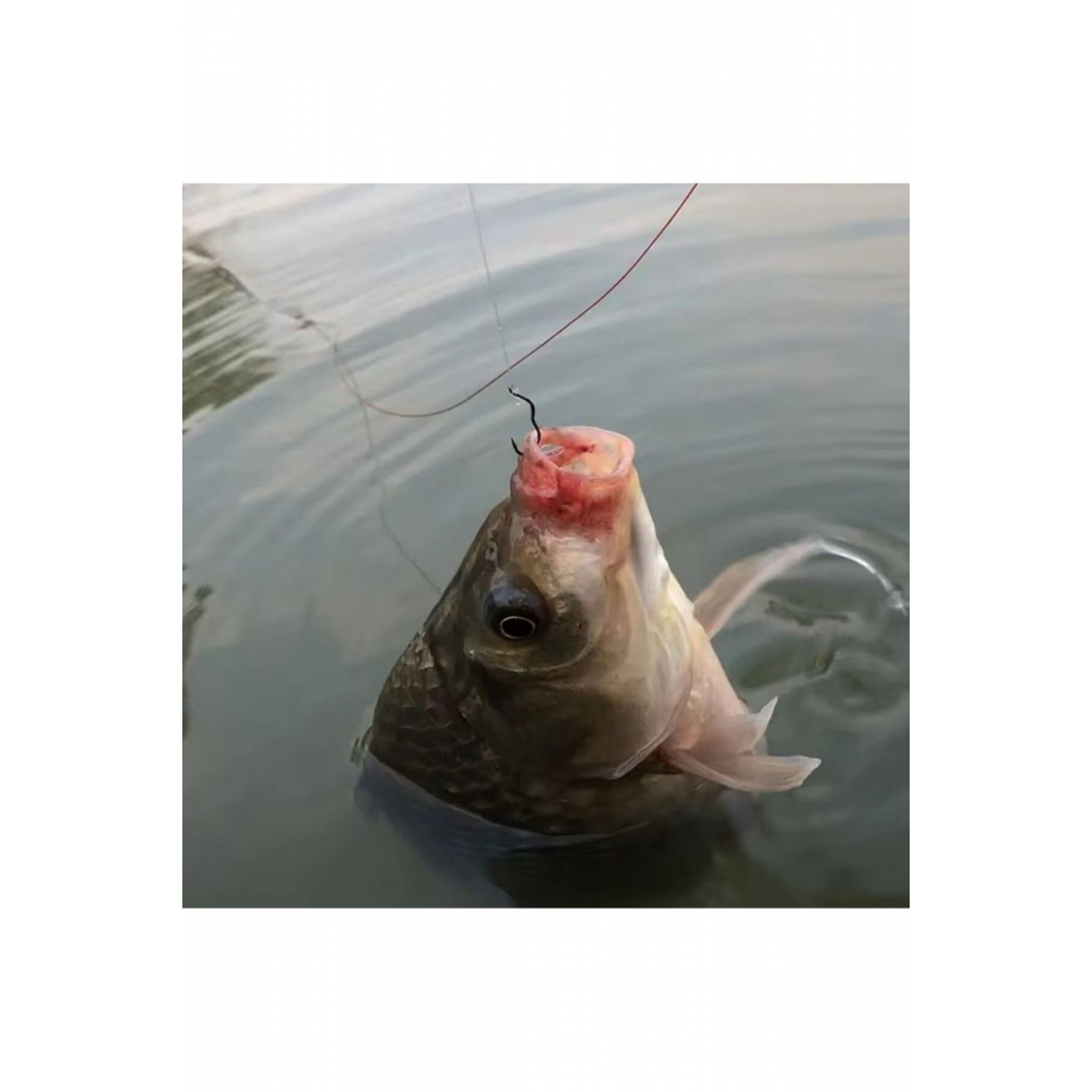 Şamandıra İğnesi, Balığın Ağzına Kendi Takılan İğne - Balık Av Kancası