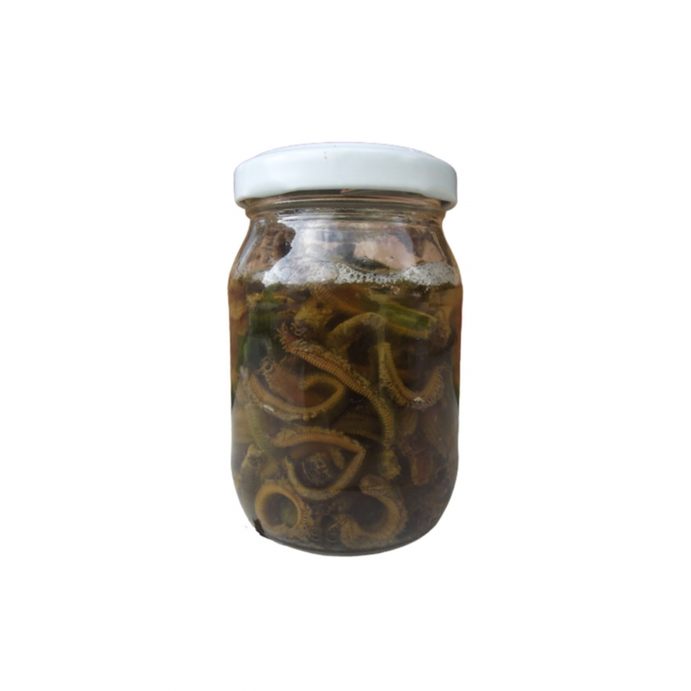 Boru Kurdu Salamura (35 ADET) 1 Kavanoz