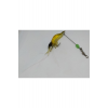 Karides Shrimp Sahte Silikon Balık Yemi Fosforlu Kancalı 7.5 Cm