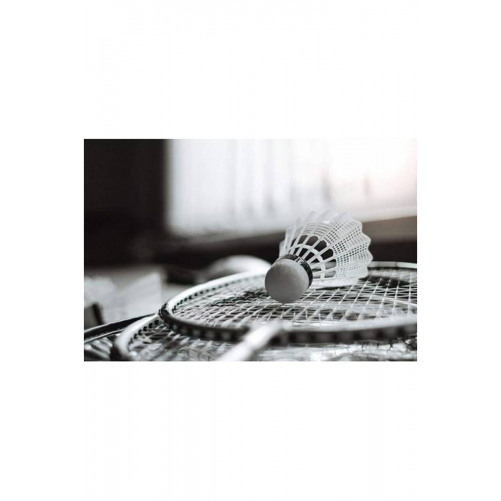 Badmınton Raket Seti 2 Betmintın Raketi 1 Bedminton Topu Hediyeli Fileli