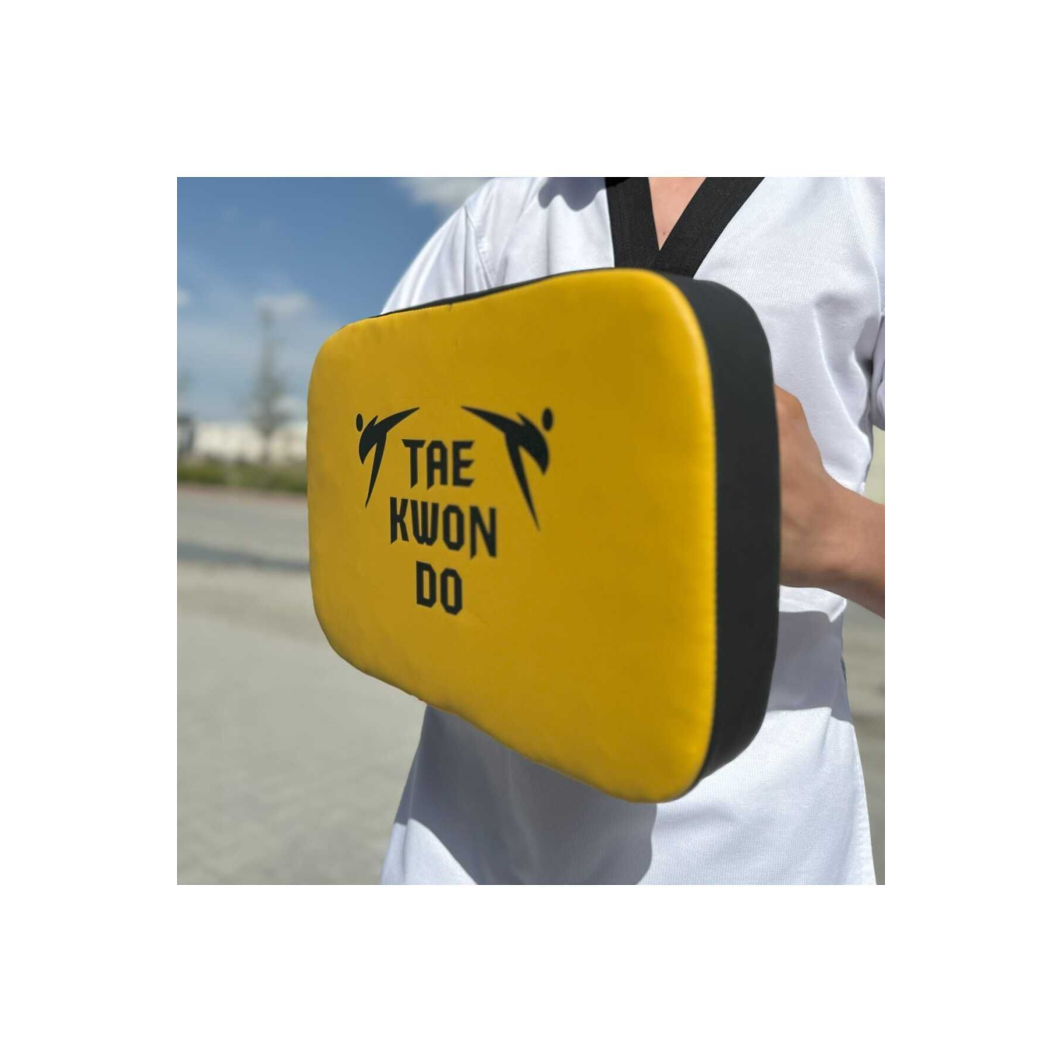 NABIZ Taekwondo,Kickboks, Karate, Mma Darbe Yastığı