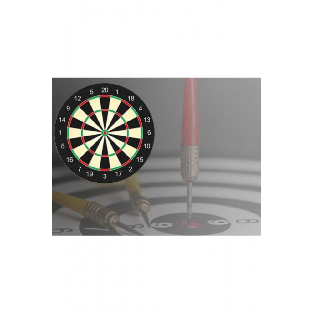 Duvara Ağaca Asılabilir Çift Taraflı Dart Seti 4 Oklu Dart Tahtalı