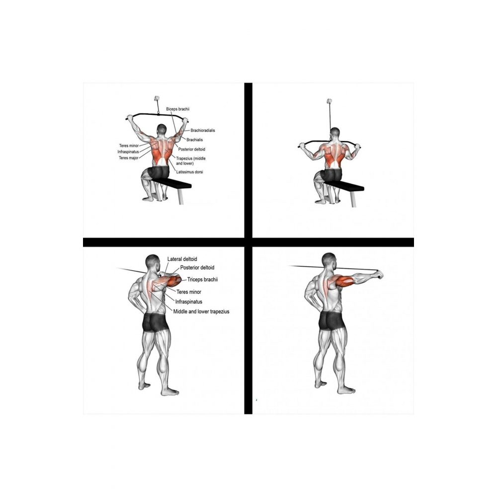 Makara Kablo Agırlık Sehpalarına Cable Crossover