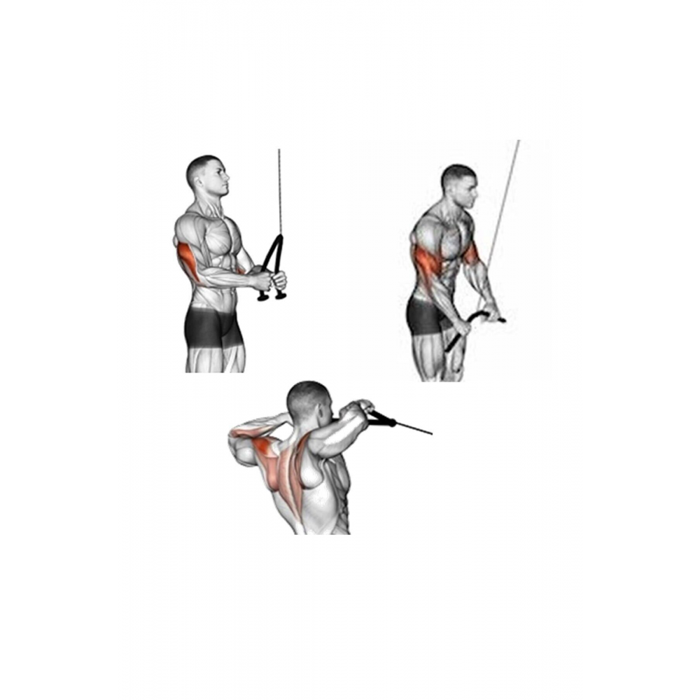 Makara Kablo Agırlık Sehpalarına Cable Crossover