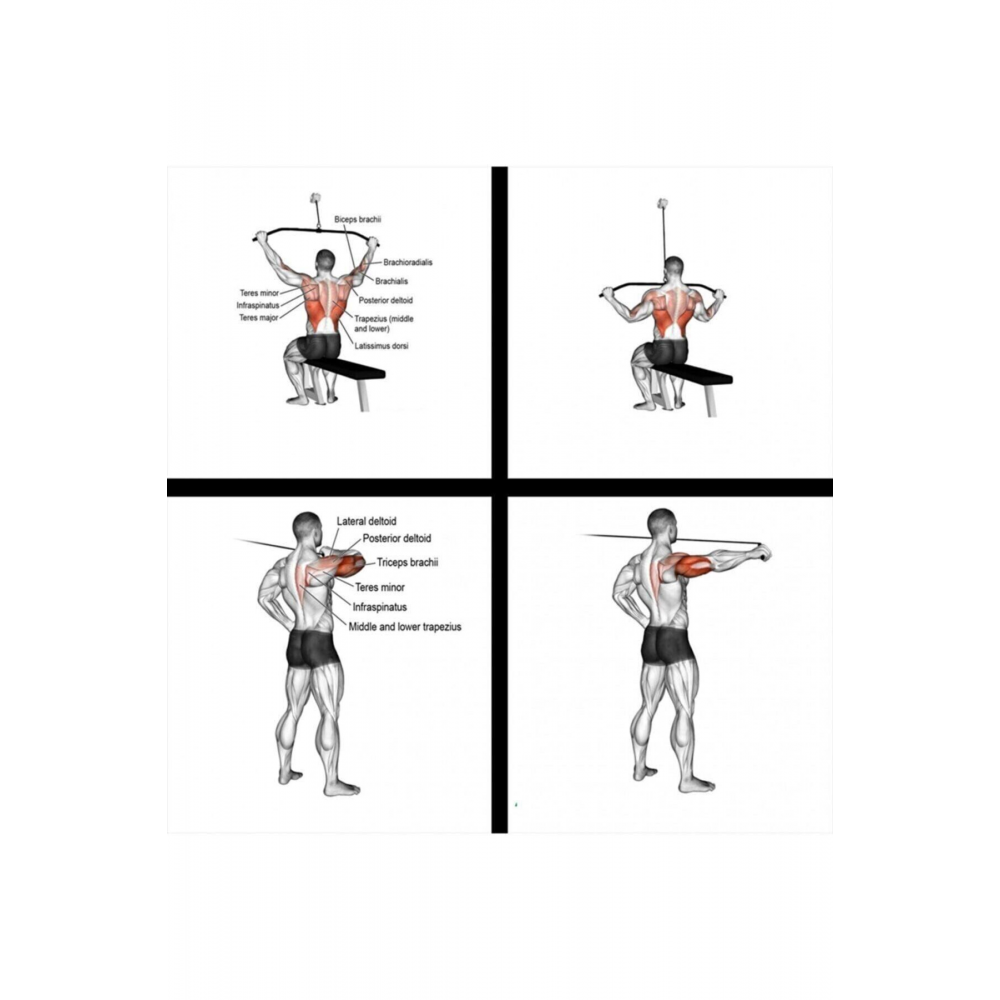 Makara Fitness Seti Lat Pulldown Triceps Biceps Sırt Çekiş Çalışma Istasyonu