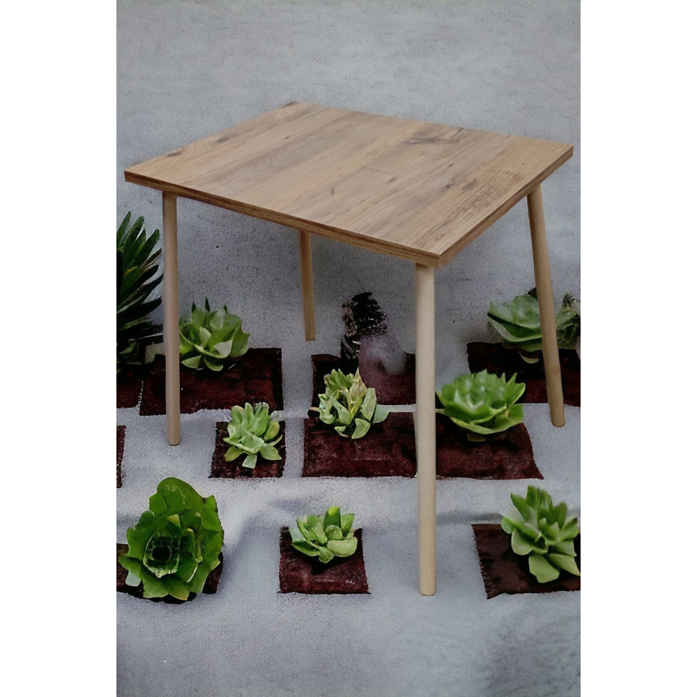 Portatif Kamp Masası Balkon Bahçe Masası Piknik Masası Sehpası 60x45cm