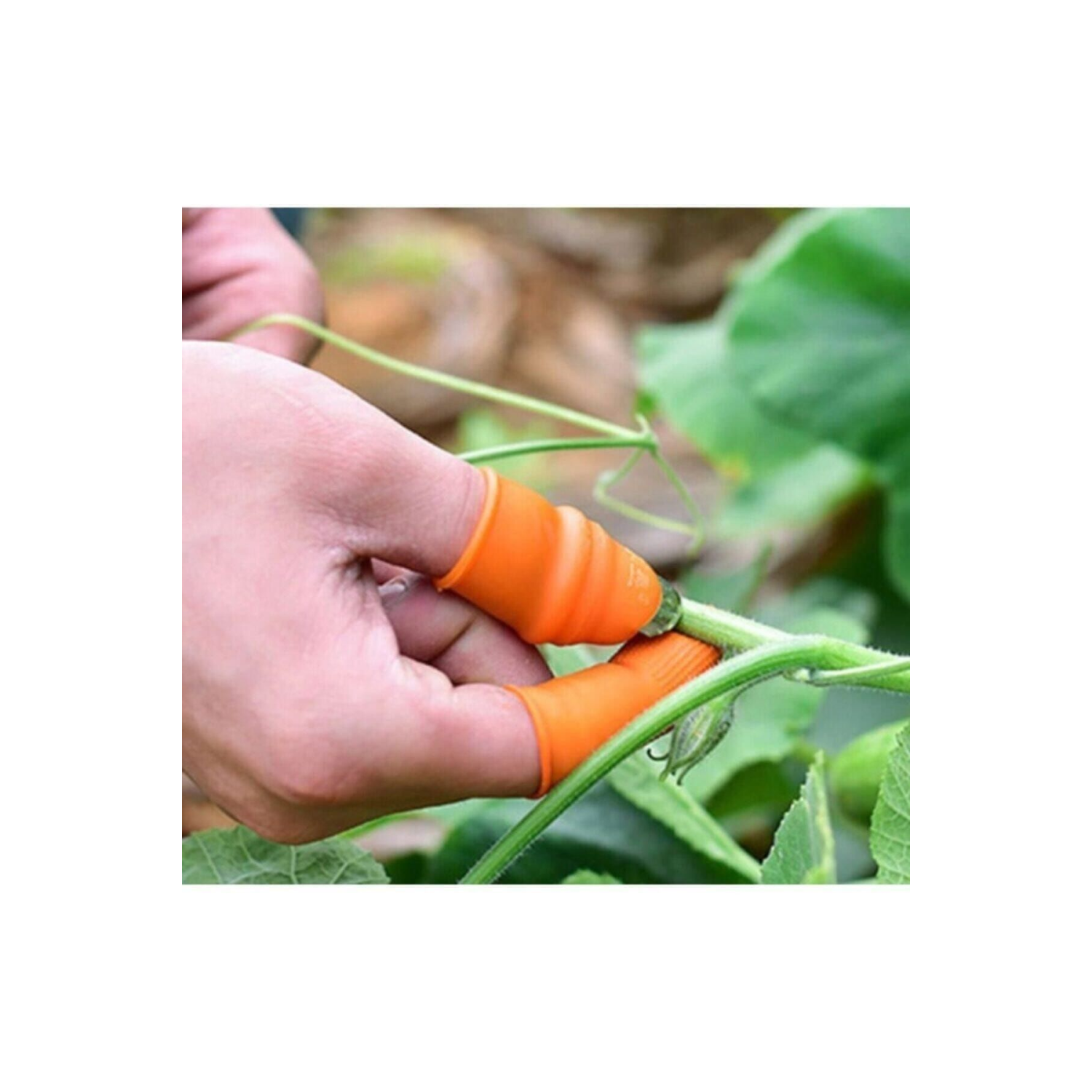 Pratik Baş Parmak Koruyucu Tırnak Eldiven Sebze Meyve Soyma Kesme Ayıklayıcı Aparatı