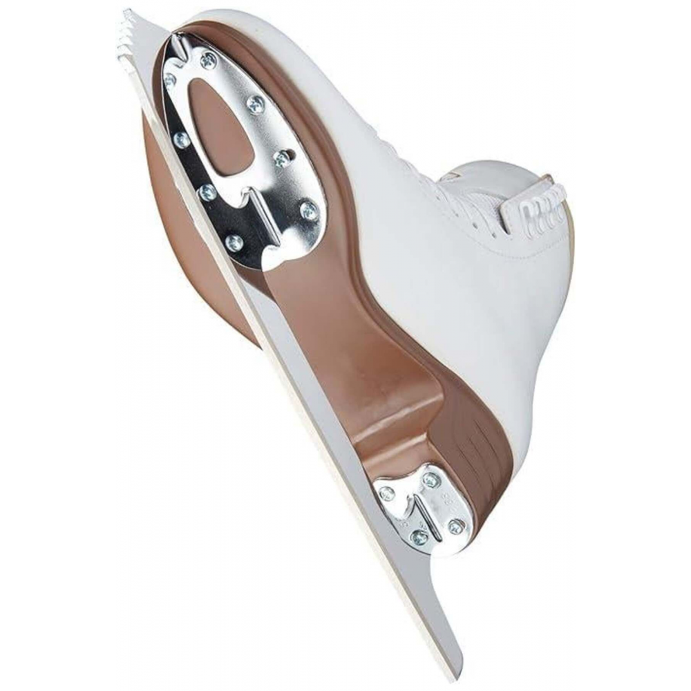 Artiste 1790 Buz Pateni