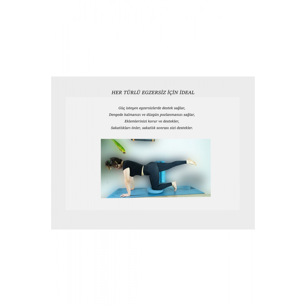 Denge Diski 33 Cm Pompa