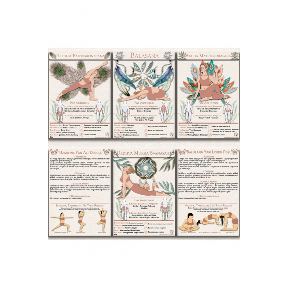 130 Kartlık Yoga Anatomisi 4'lü Set 1 Set Içinde 4 Dev Set Yoga Akışları