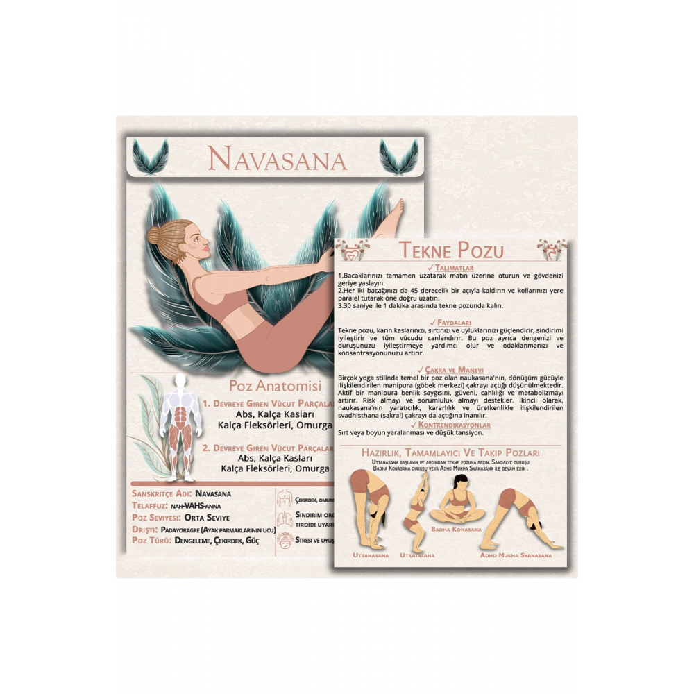 60 Yoga Anatomisi Içeren Temel Kartları
