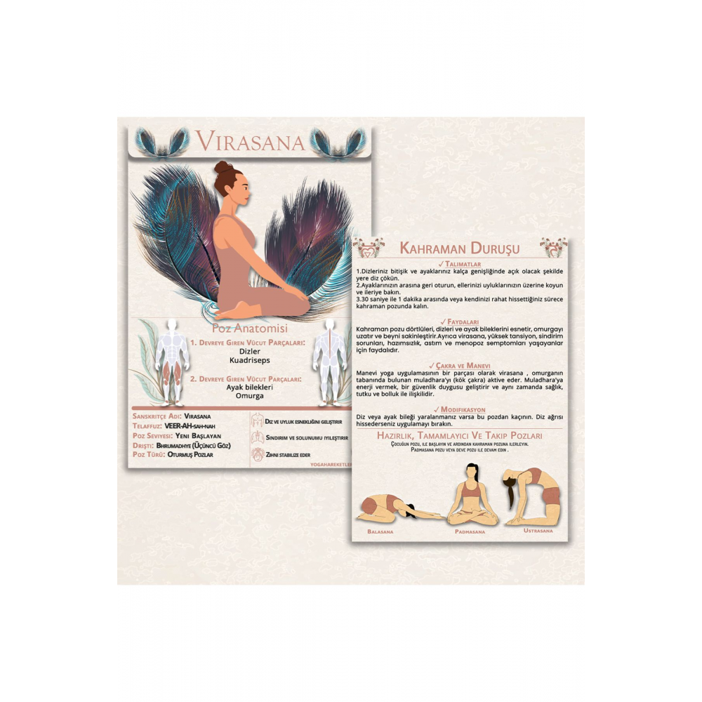 60 Yoga Anatomisi Içeren Temel Kartları