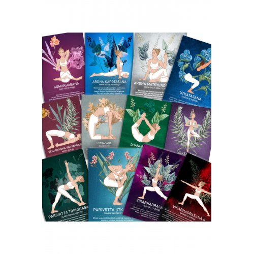 80 Yoga Kartları Destesi