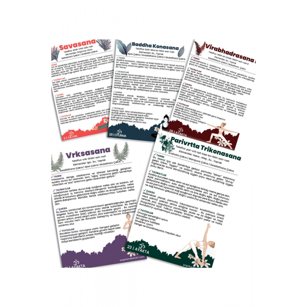 80 Yoga Kartları Destesi