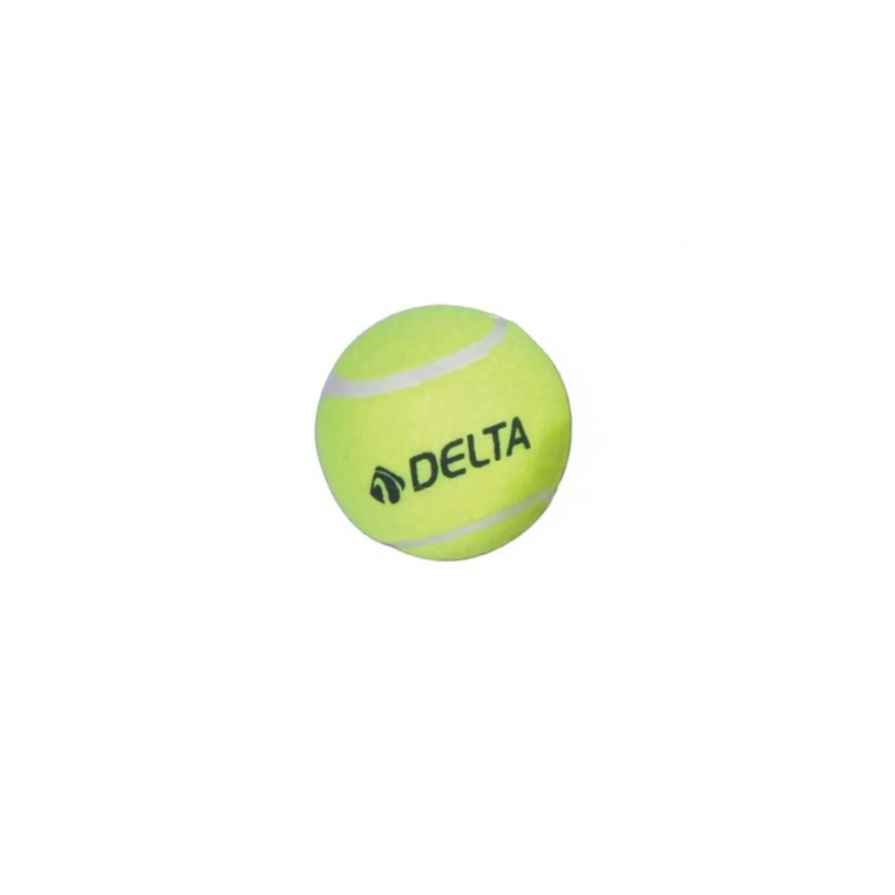 Başlangıç Seviye Antrenman veya Kedi Köpekler İçin 1 Adet Basit Tenis Topu