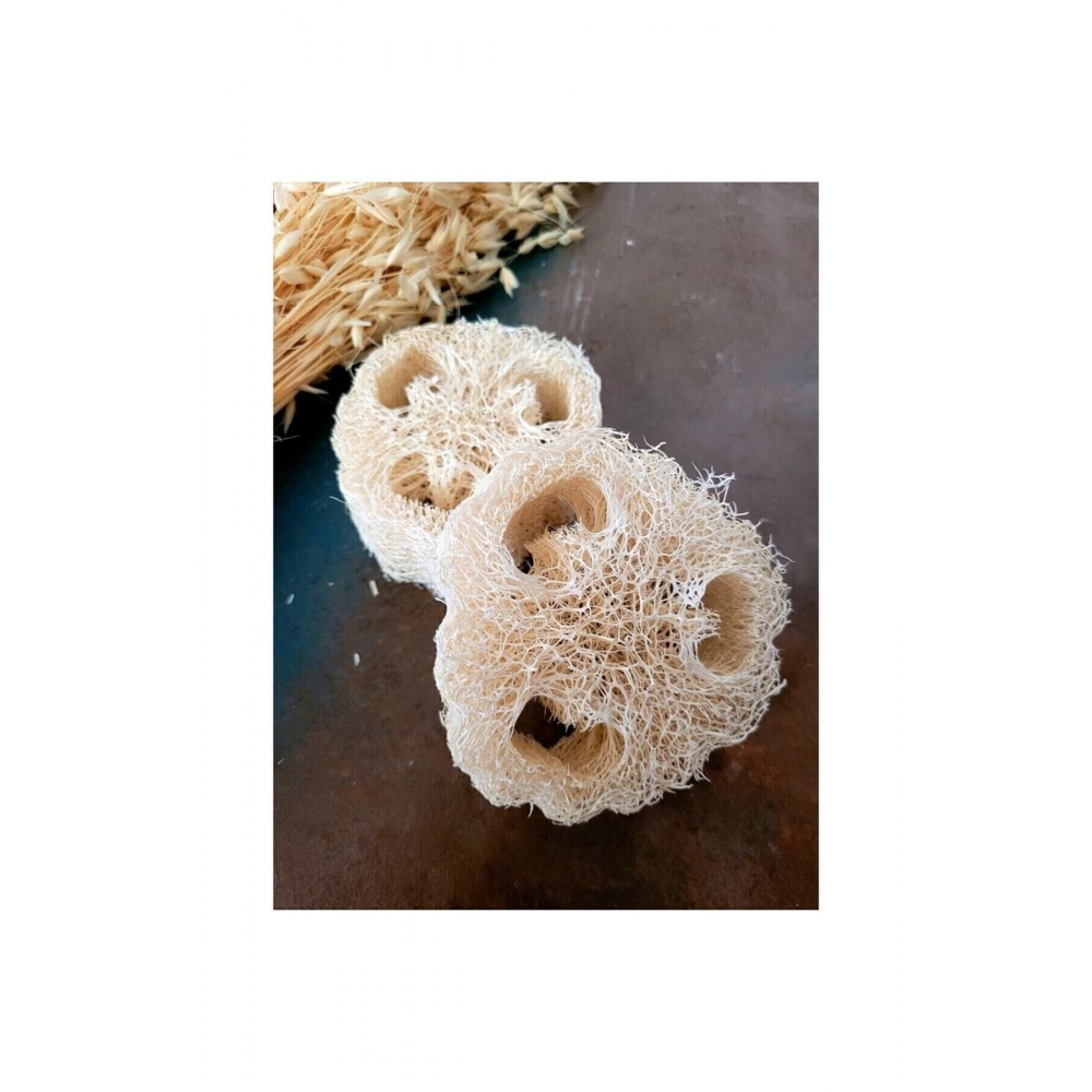 Kabak Lifi 2'li Dekoratif Hediyelik Doğal Bulaşık Süngeri