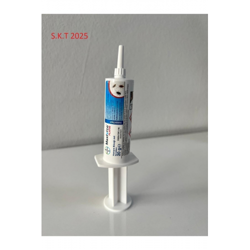 Hamam Böceği Jeli 20 G 08/2025