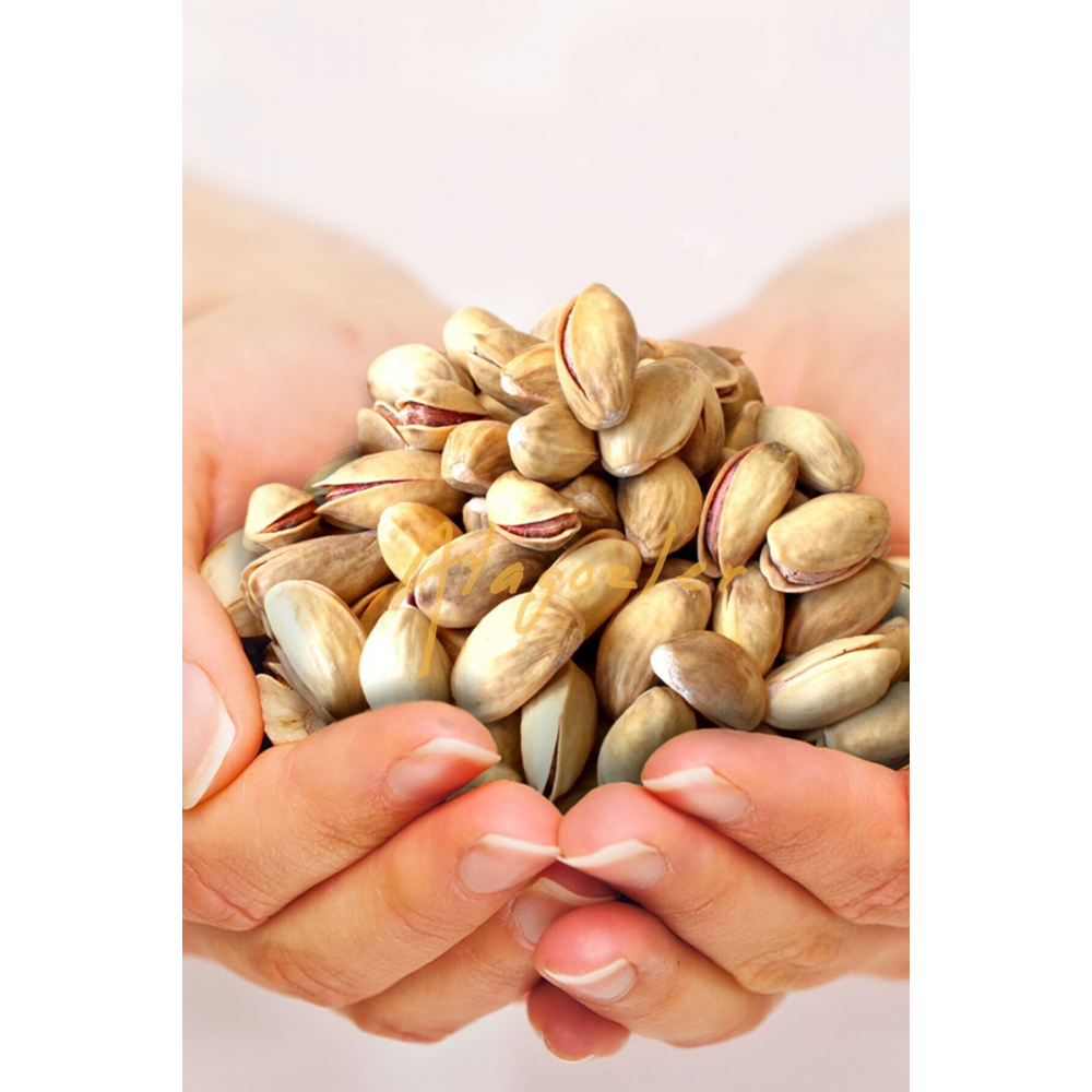 Kavrulmuş Antep Fıstığı Naturel 1 kg