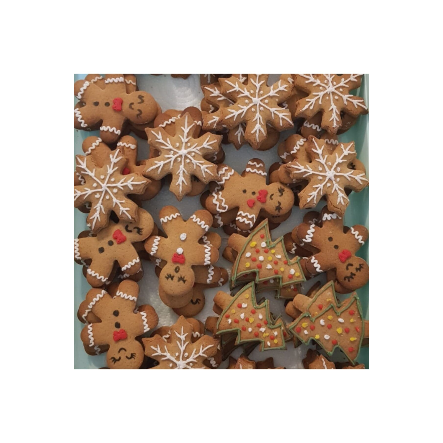 Zencefilli Tarçınlı Kurabiye 30 Adet