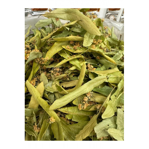 YAPRAK IHLAMUR 100gr