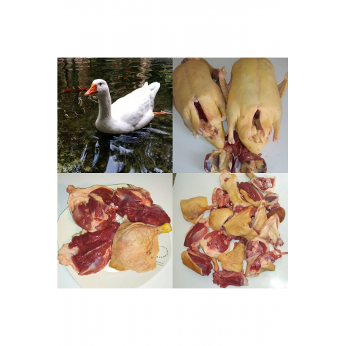 Bütün Kaz, Organik Kaz Eti (3.00-3.25 Kg)