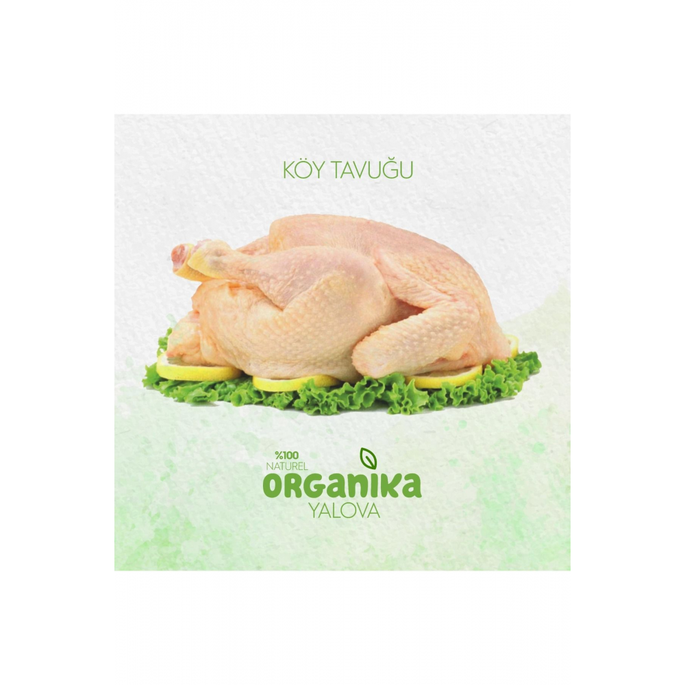 Köy Tavuğu 3 Adet 1200-1400 gr