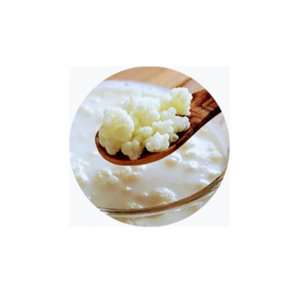 Kefir Mayası Ev Yapımı ( Canlı Tane )