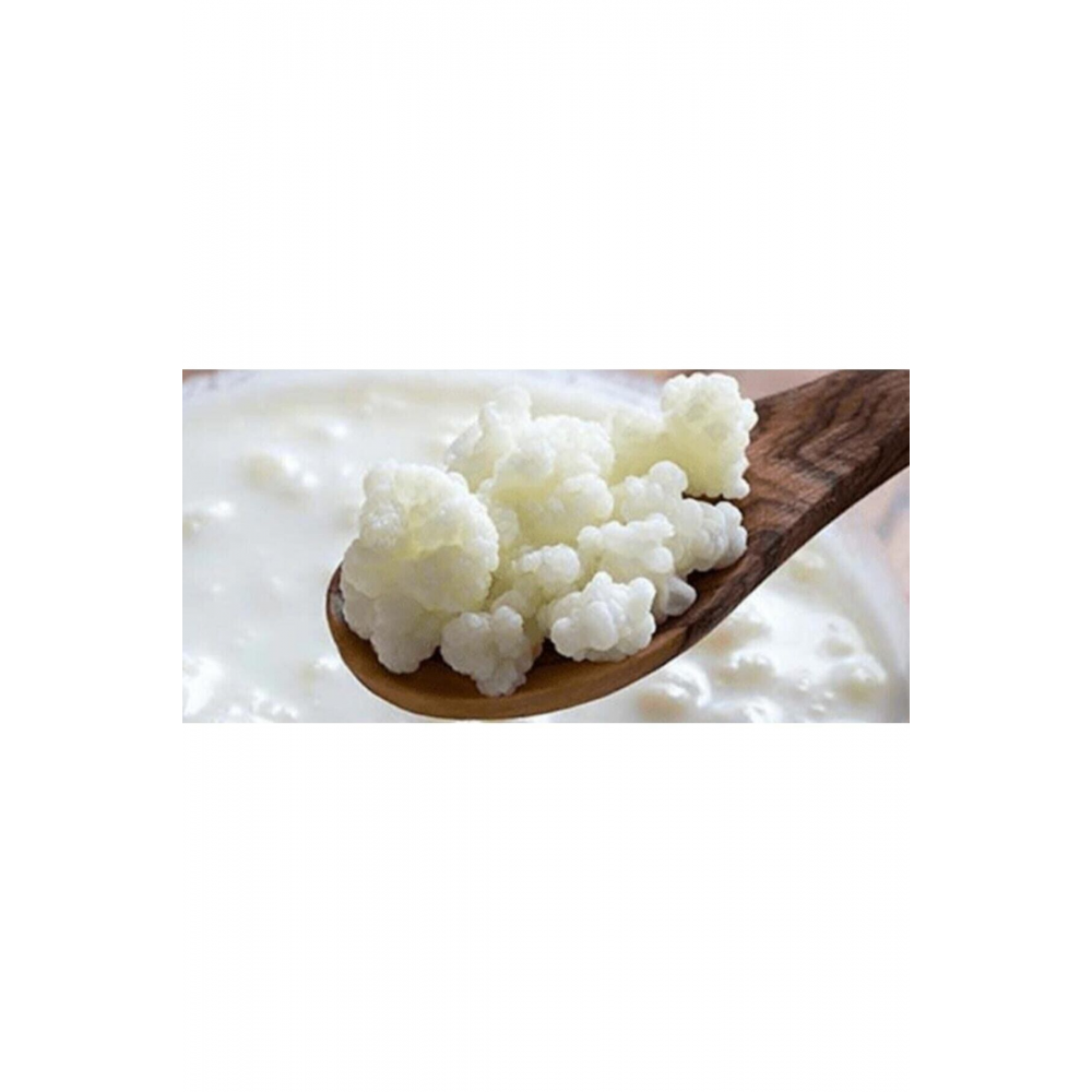 Kefir Mayası Ev Yapımı ( Canlı Tane )