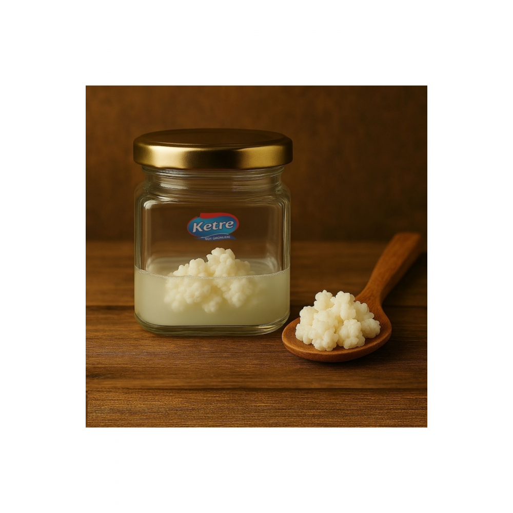 Kefir Mayası Ev Yapımı Canlı Tane Organik Kafkas Süt Kefir Mayası Doğal Probiyotik